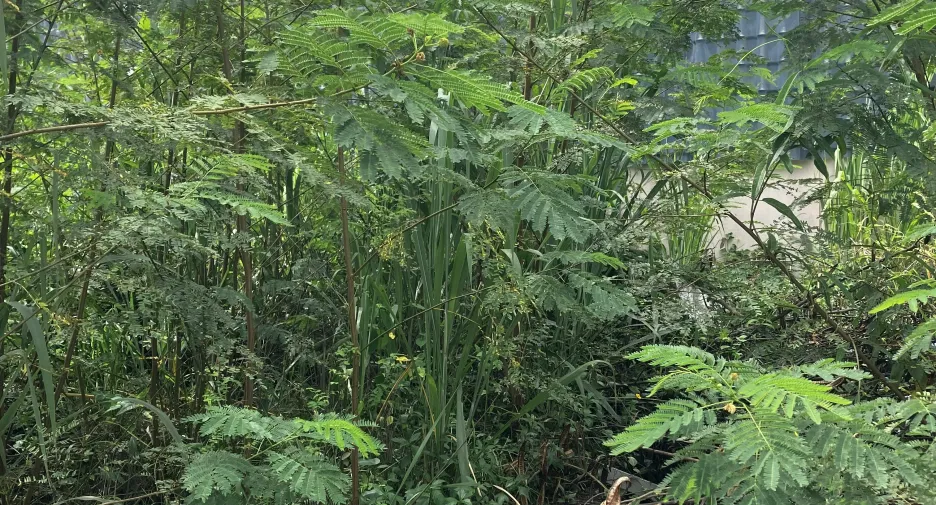 出售 3 卧室 别墅 在 华欣, 班武里府