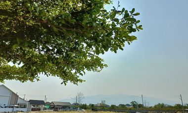 For sale land in San Sai, Chiang Mai