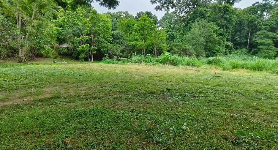 For sale land in Mueang Chiang Mai, Chiang Mai