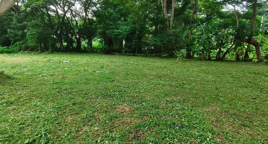 For sale land in Mueang Chiang Mai, Chiang Mai