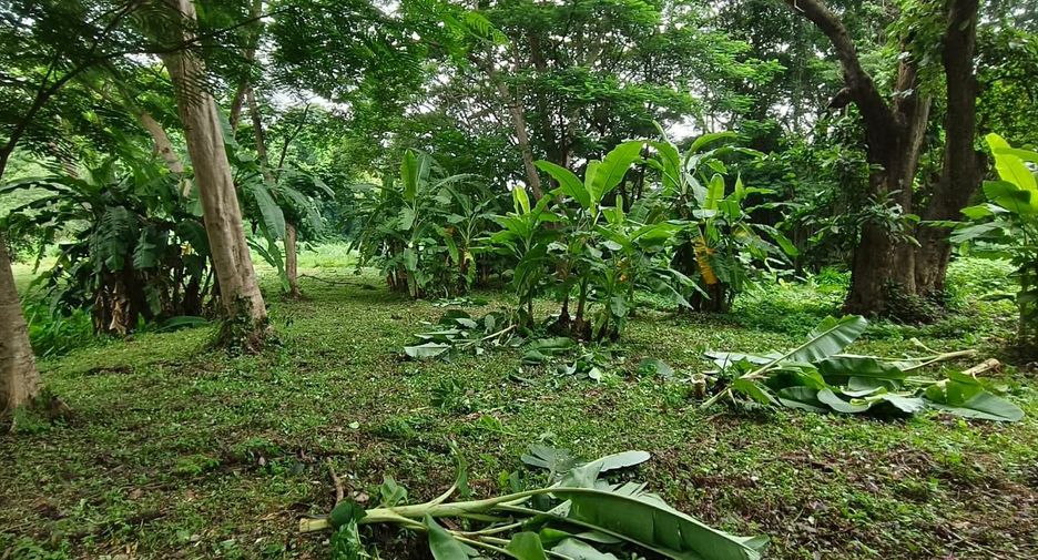 For sale land in Mueang Chiang Mai, Chiang Mai