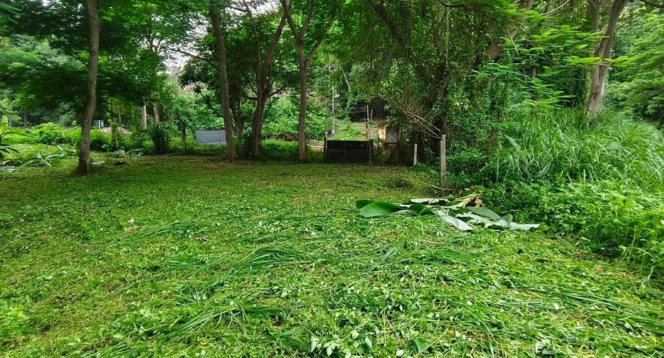 For sale land in Mueang Chiang Mai, Chiang Mai