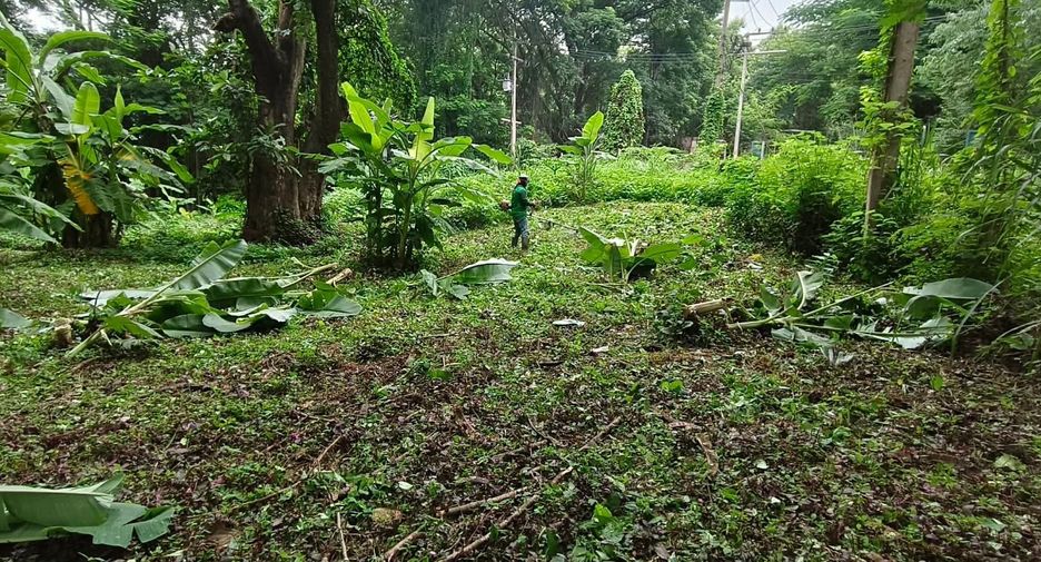 For sale land in Mueang Chiang Mai, Chiang Mai