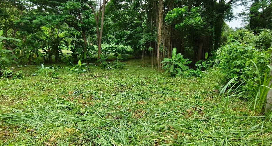 For sale land in Mueang Chiang Mai, Chiang Mai
