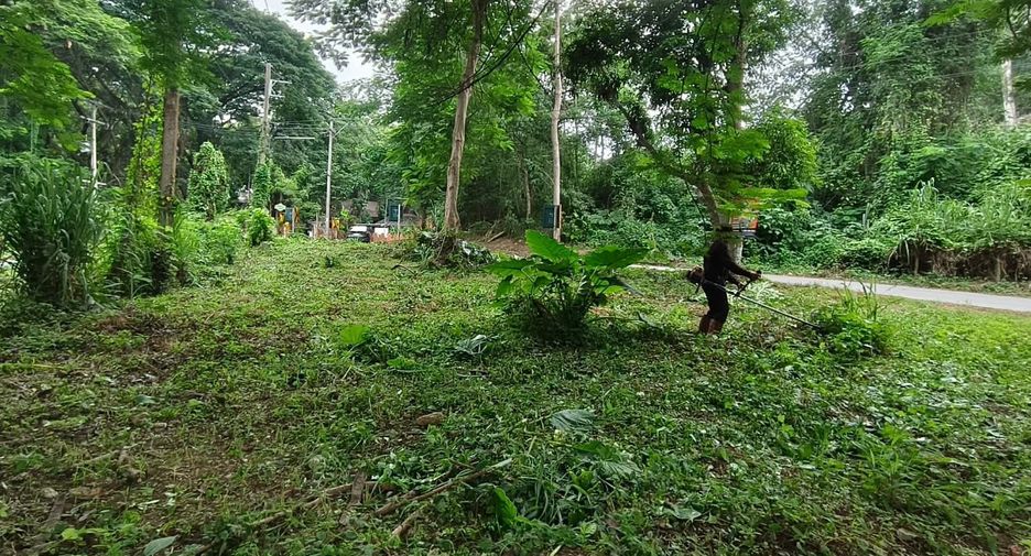 For sale land in Mueang Chiang Mai, Chiang Mai