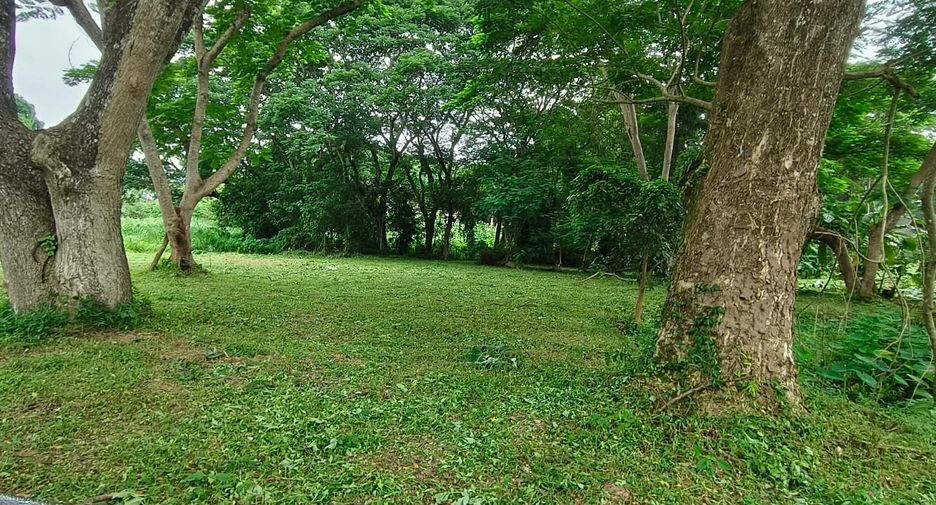 For sale land in Mueang Chiang Mai, Chiang Mai