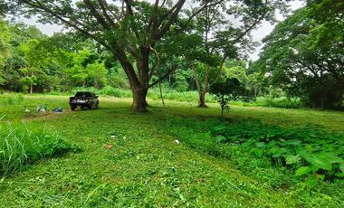 For sale land in Mueang Chiang Mai, Chiang Mai