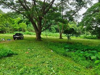 For sale land in Mueang Chiang Mai, Chiang Mai