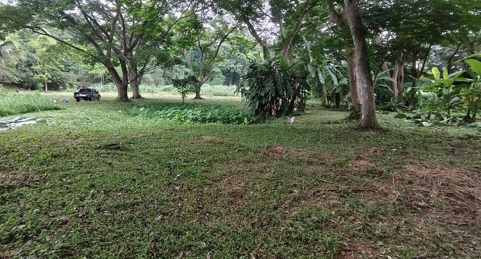 For sale land in Mueang Chiang Mai, Chiang Mai