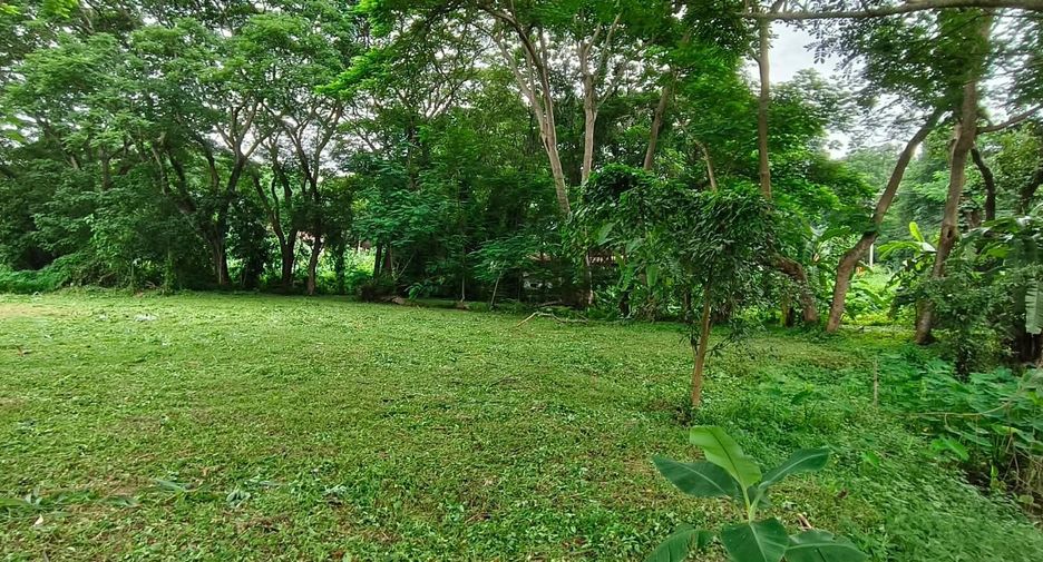 For sale land in Mueang Chiang Mai, Chiang Mai