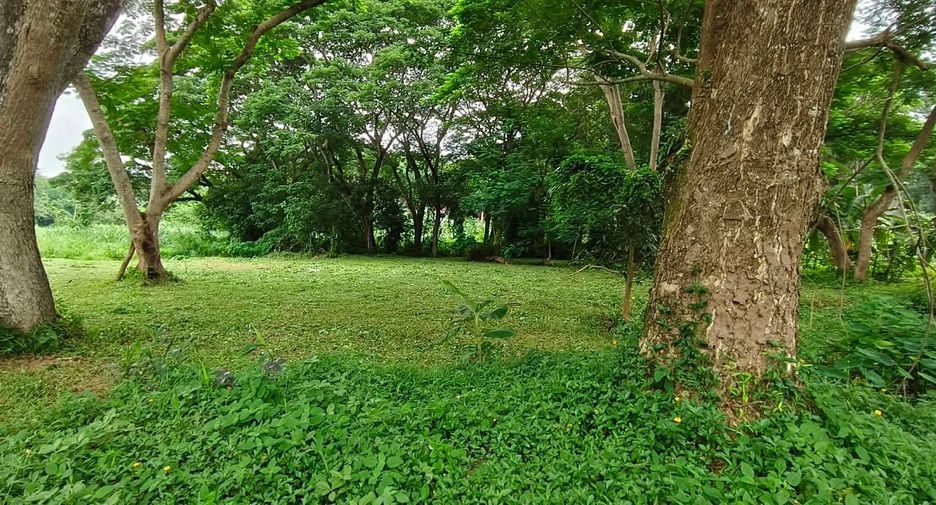 For sale land in Mueang Chiang Mai, Chiang Mai