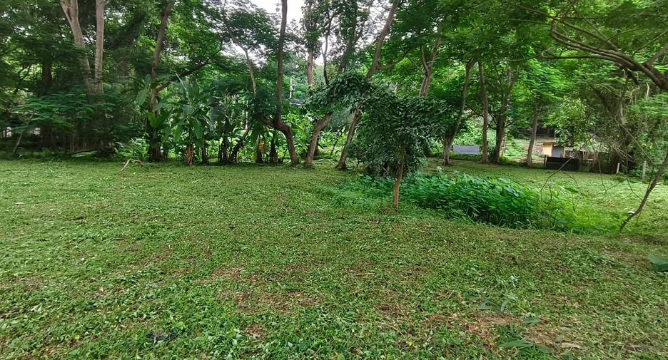 For sale land in Mueang Chiang Mai, Chiang Mai