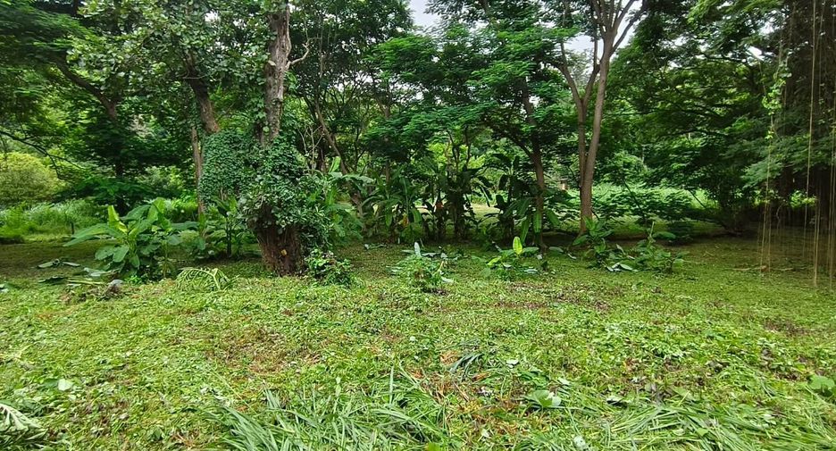For sale land in Mueang Chiang Mai, Chiang Mai