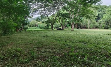 For sale land in Mueang Chiang Mai, Chiang Mai