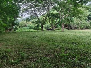 For sale land in Mueang Chiang Mai, Chiang Mai