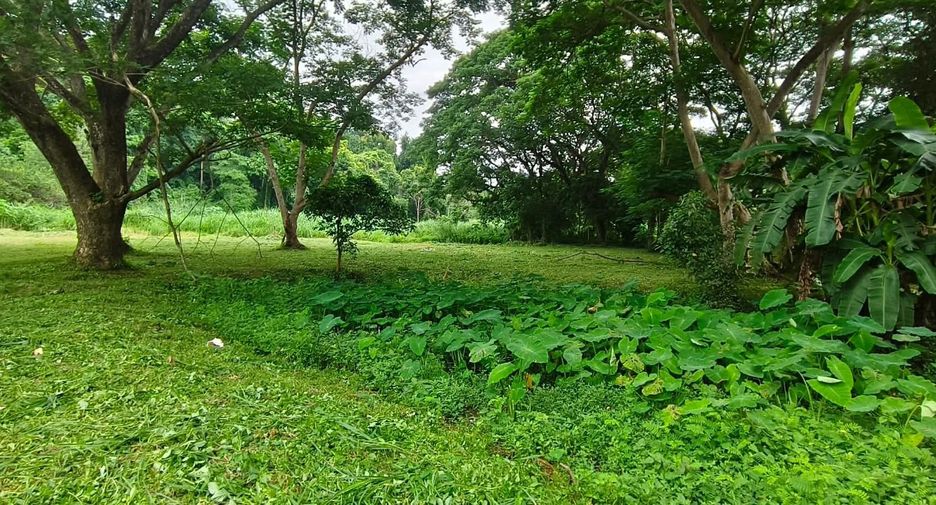 For sale land in Mueang Chiang Mai, Chiang Mai