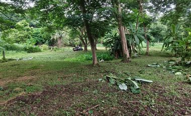 For sale land in Mueang Chiang Mai, Chiang Mai