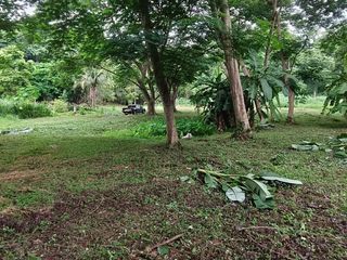 For sale land in Mueang Chiang Mai, Chiang Mai