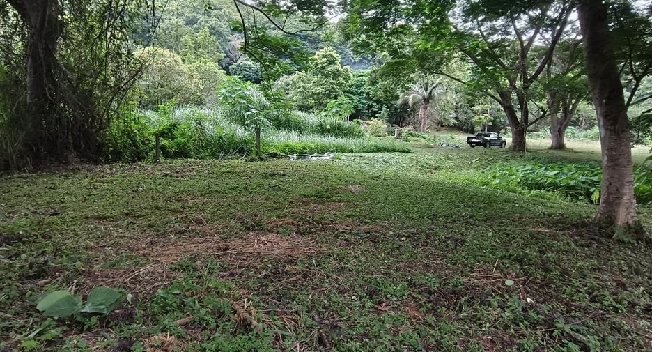 For sale land in Mueang Chiang Mai, Chiang Mai