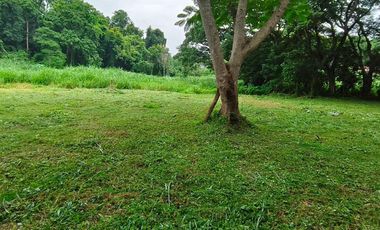 For sale land in Mueang Chiang Mai, Chiang Mai