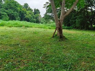 For sale land in Mueang Chiang Mai, Chiang Mai