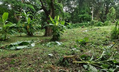 For sale land in Mueang Chiang Mai, Chiang Mai