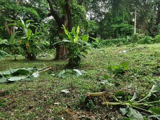 For sale land in Mueang Chiang Mai, Chiang Mai