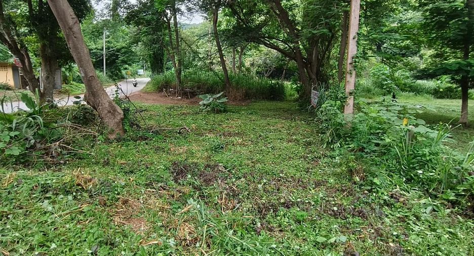 For sale land in Mueang Chiang Mai, Chiang Mai