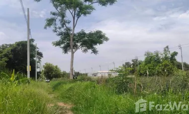 For sale land in Nong Chok, Bangkok