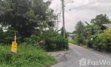 For sale land in Nong Chok, Bangkok