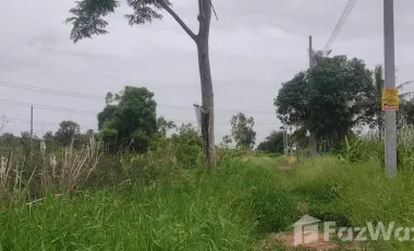 For sale land in Nong Chok, Bangkok