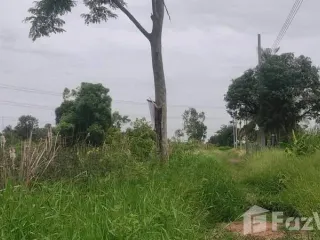 For sale land in Nong Chok, Bangkok