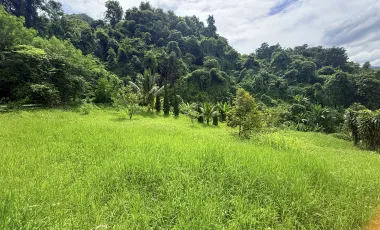 For sale land in Hang Dong, Chiang Mai