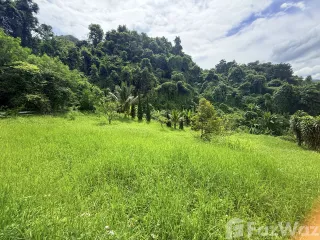 ขาย ที่ดิน ใน หางดง, เชียงใหม่