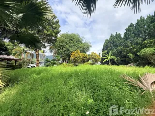 ขาย ที่ดิน ใน หางดง, เชียงใหม่