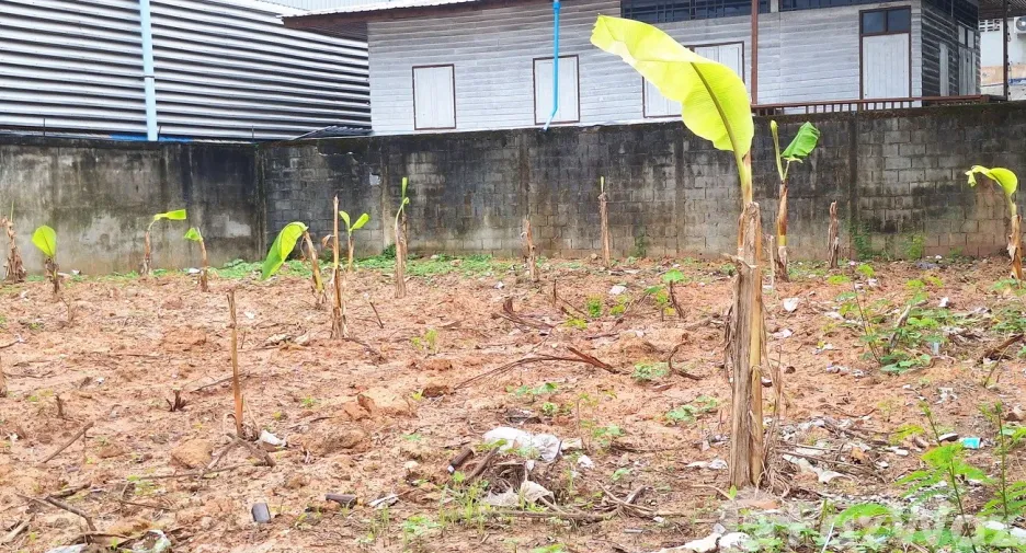 For sale land in Mueang Udon Thani, Udon Thani