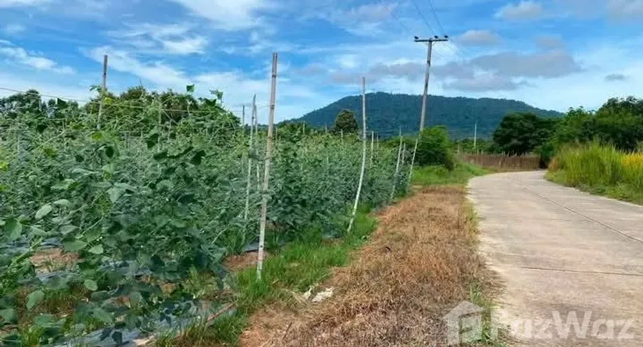 Продажа Участок в Клаенг, Районг