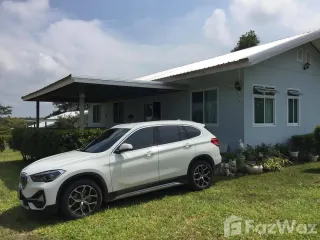 出售 土地 在 Dan Sai, Loei