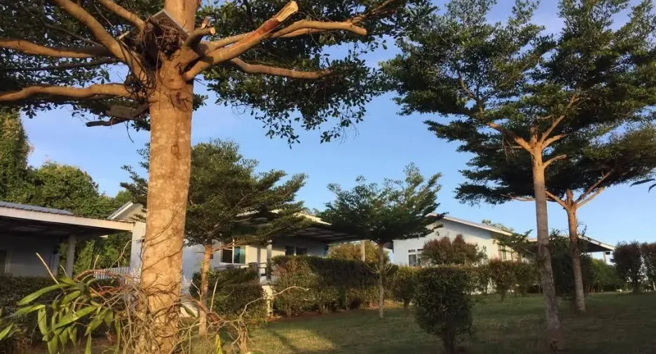 出售 土地 在 Dan Sai, Loei