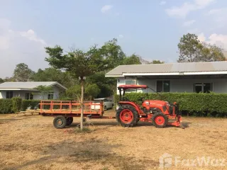 出售 土地 在 Dan Sai, Loei