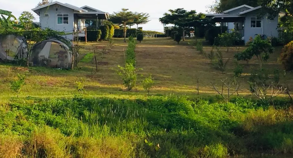 出售 土地 在 Dan Sai, Loei