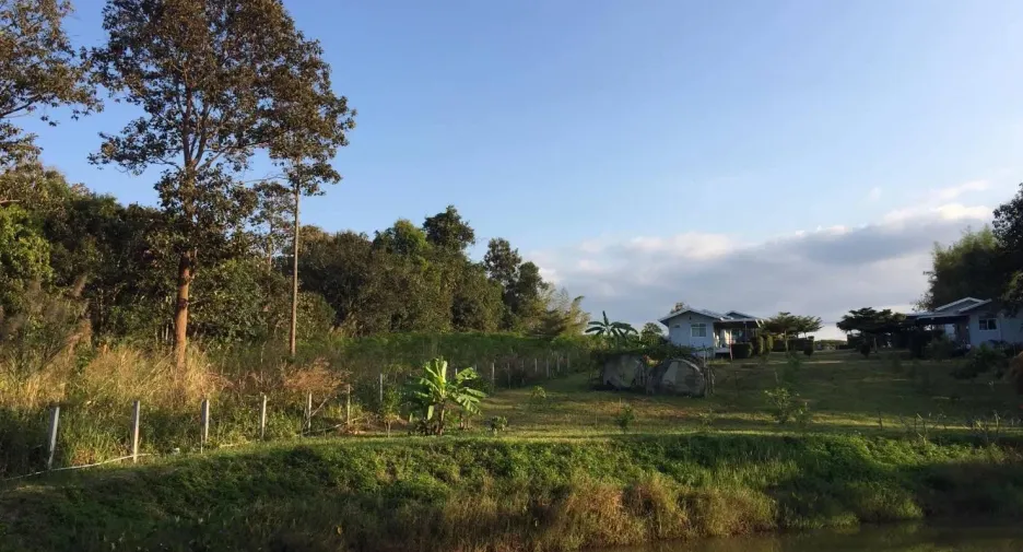 出售 土地 在 Dan Sai, Loei