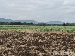 For sale land in Pak Chong, Nakhon Ratchasima