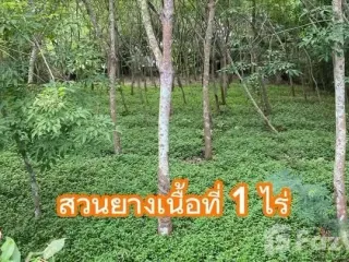 For sale land in Mueang Rayong, Rayong