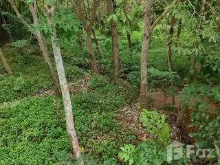 For sale land in Mueang Rayong, Rayong