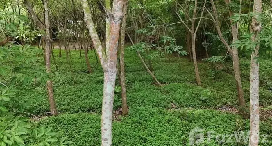 For sale land in Mueang Rayong, Rayong