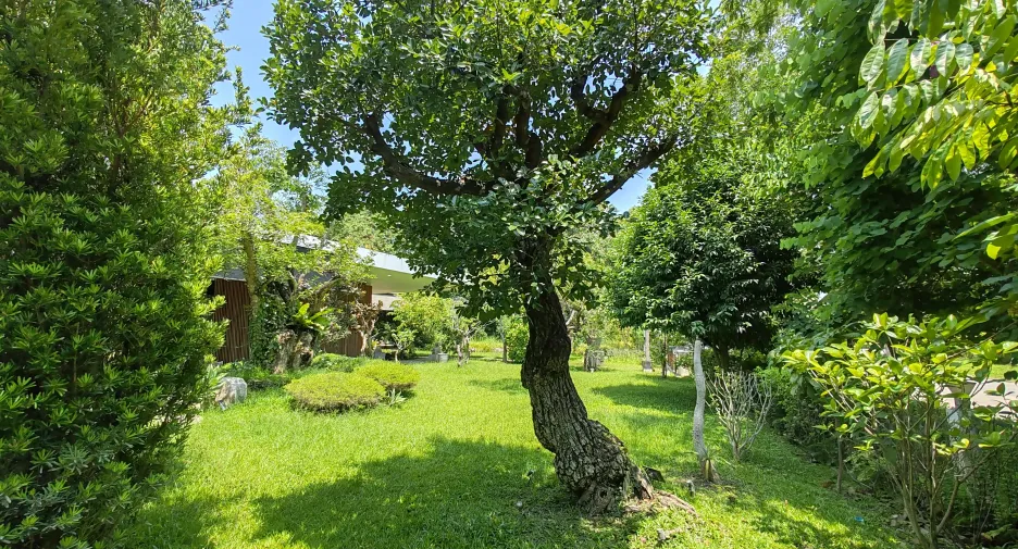 ขาย 4 ห้องนอน วิลล่า ใน แม่ริม, เชียงใหม่