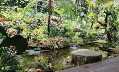 For sale 4 bedrooms villa in Mae Rim, Chiang Mai