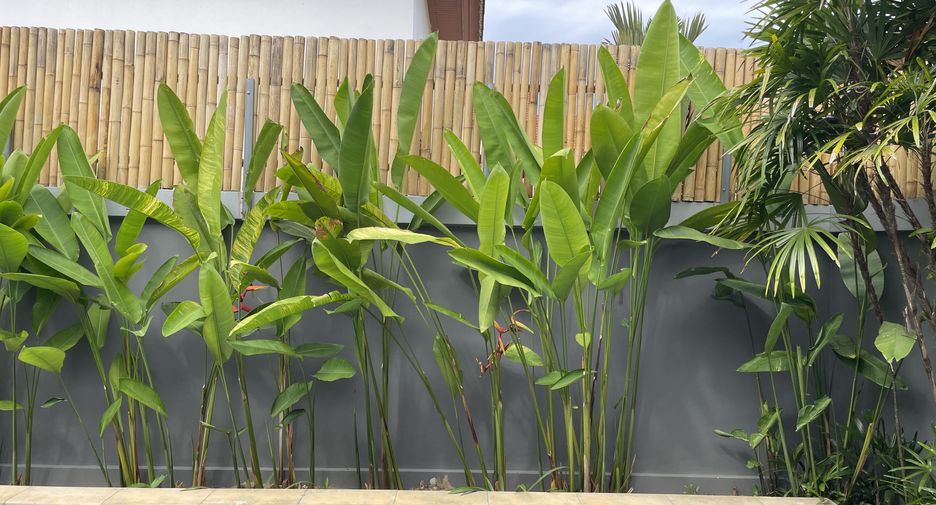 For sale 3 bedrooms house in Mueang Phuket, Phuket