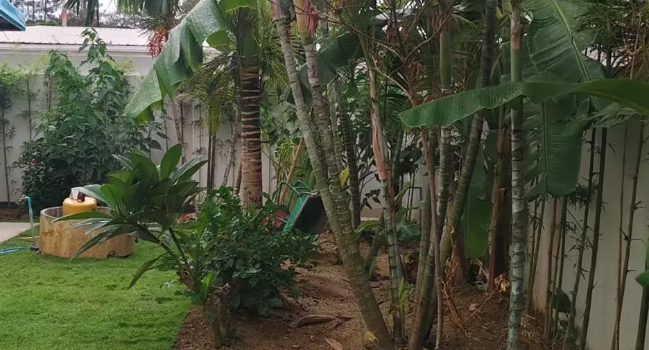ขาย 5 ห้องนอน วิลล่า ใน เกาะสมุย, สุราษฎร์ธานี
